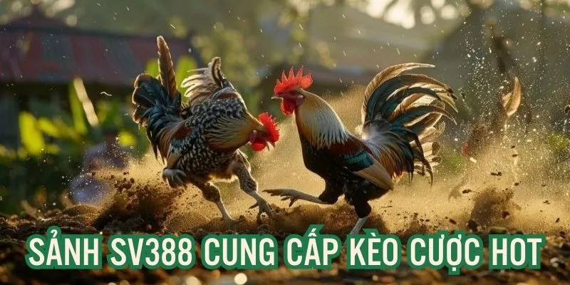 Sân chơi cung cấp nhiều kèo cược hot, giá trị lớn