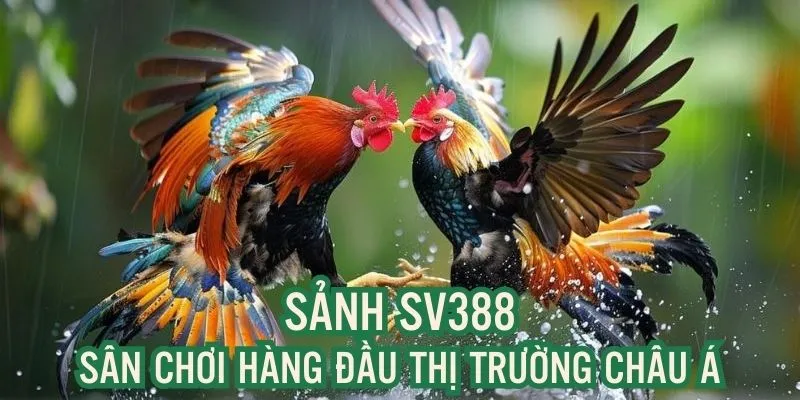 Sảnh SV388 - Sân Chơi Cá Cược Trực Tuyến Uy Tín Châu Á